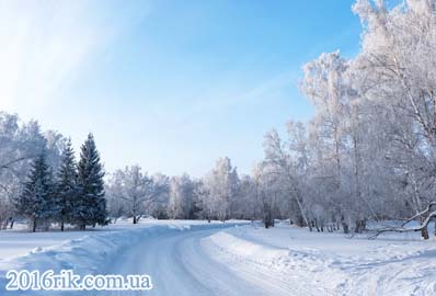 Якою буде зима 2016-2017 року в Україні. Прогнози синоптиків