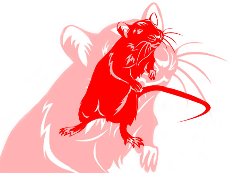 Зображення символу року - пацюка