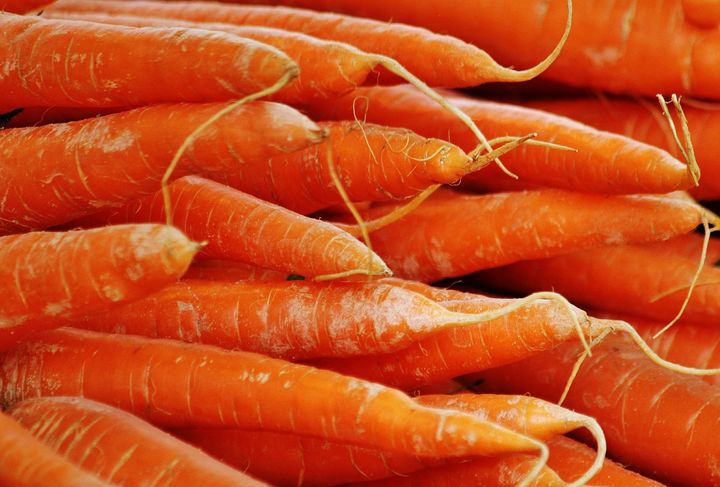 Великий урожай моркви