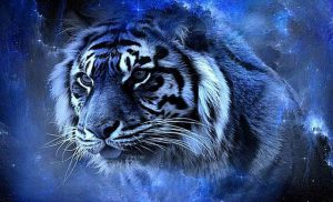 Новий 2022 — рік Чорного Водяного Тигра