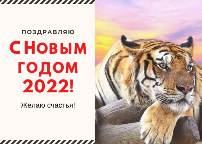 Листівки з Новим роком Тигра 2022 - великий набір!