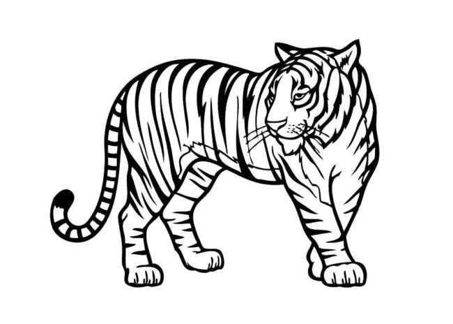 Розмальовки з Тиграми на Новий рік 2021 для дітей: скачати безкоштовно!